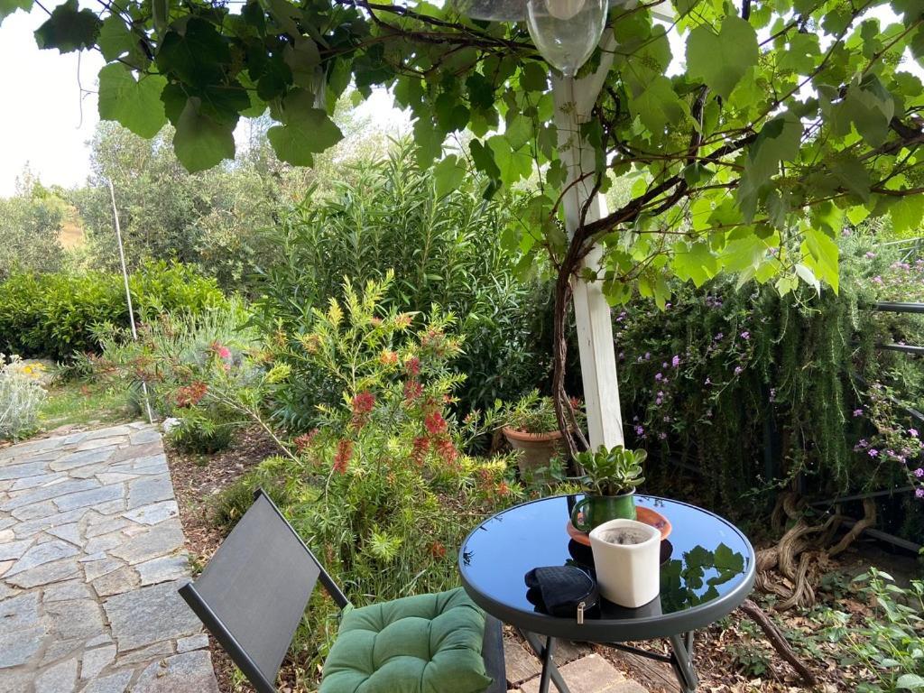 Villa Antonella 카스텔리나마르티마 외부 사진